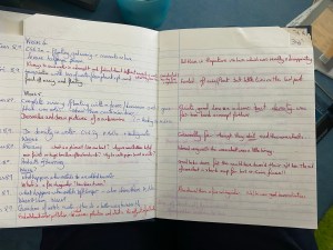 My summary planning notes and even more brief feedback in red JD 1981.